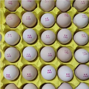 采购富硒食品采购富硒鸡蛋