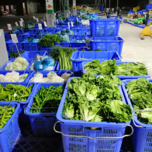 采购收购富硒瓜果蔬菜