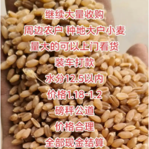 收购富硒小麦大米各类农产品