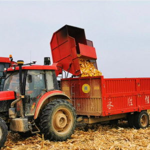 大量求购拖拉机收割机 玉米机