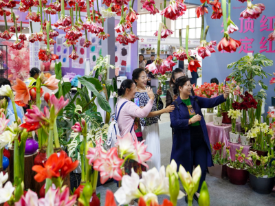 2025年昆明国际花卉园艺展