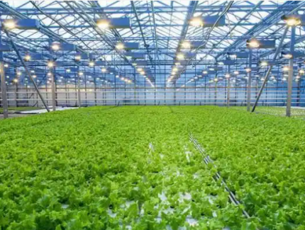 我国作为农业大国，在现代化农业方面都有哪些领先技术？