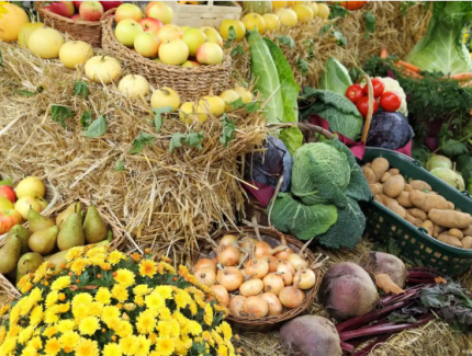 农业生产技术包括哪些方面？